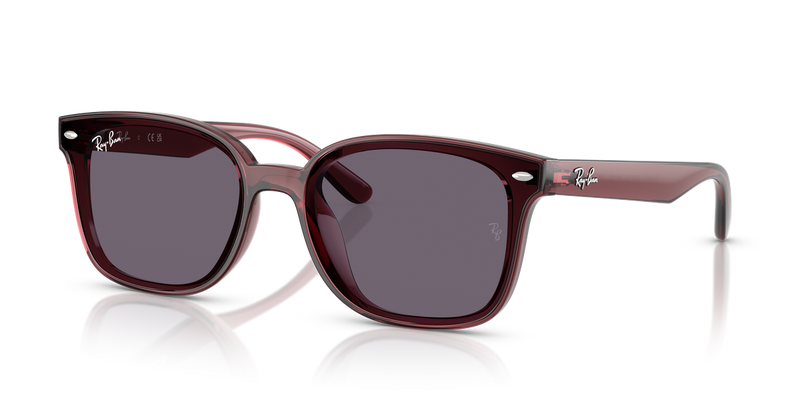 Ray-Ban RB4461D in Transparent Dark Brown / Violet (659373) - Alternate View