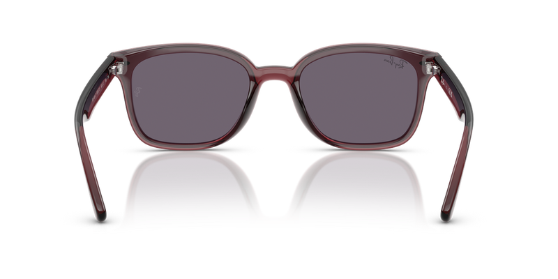 Ray-Ban RB4461D in Transparent Dark Brown / Violet (659373) - Alternate View