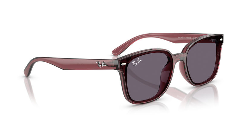 Ray-Ban RB4461D in Transparent Dark Brown / Violet (659373) - Alternate View