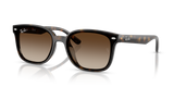 Havana / Gradient Brown (710/13)