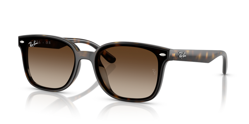 Ray-Ban RB4461D in Havana / Gradient Brown (710/13) - Alternate View