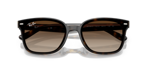 Havana / Gradient Brown (710/13)