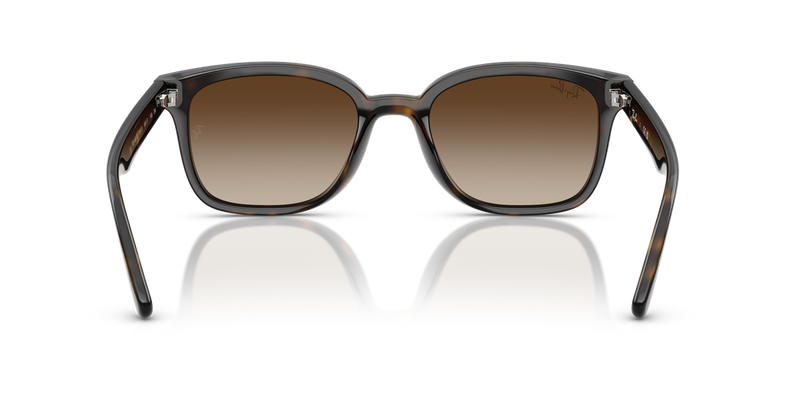 Ray-Ban RB4461D in Havana / Gradient Brown (710/13) - Alternate View