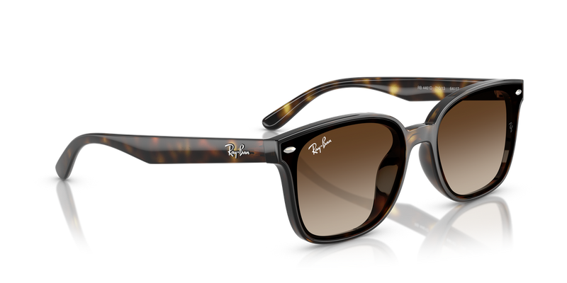 Ray-Ban RB4461D in Havana / Gradient Brown (710/13) - Alternate View