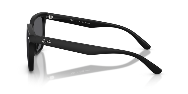 Ray-Ban RB4466D in Matte Black / Polarized Grey (601S81) - Alternate View
