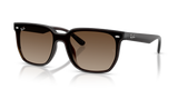Transparent Dark Brown / Brown Gradient (714/13)