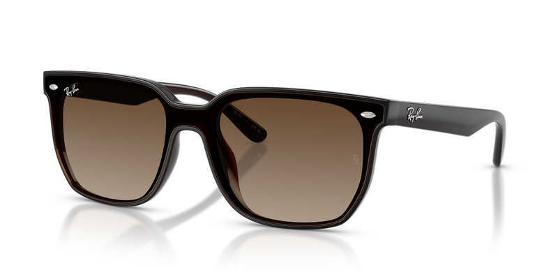 Ray-Ban RB4466D in Transparent Dark Brown / Brown Gradient (714/13) - Alternate View