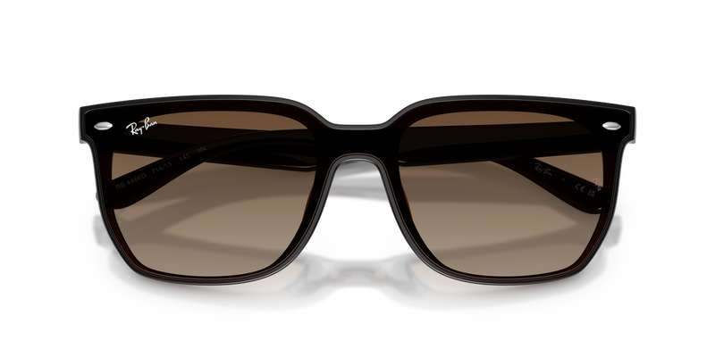 Ray-Ban RB4466D in Transparent Dark Brown / Brown Gradient (714/13) - Alternate View