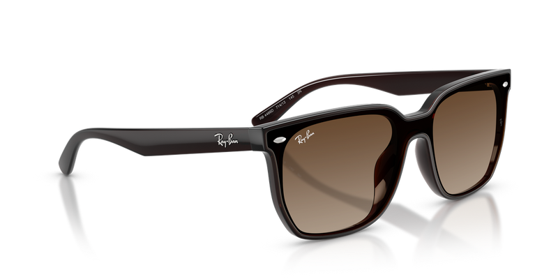 Ray-Ban RB4466D in Transparent Dark Brown / Brown Gradient (714/13) - Alternate View