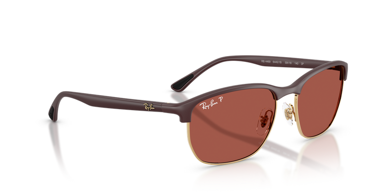 Ray-Ban RB4469 in Sand Violet / Polarized Red (64451B) - Alternate View