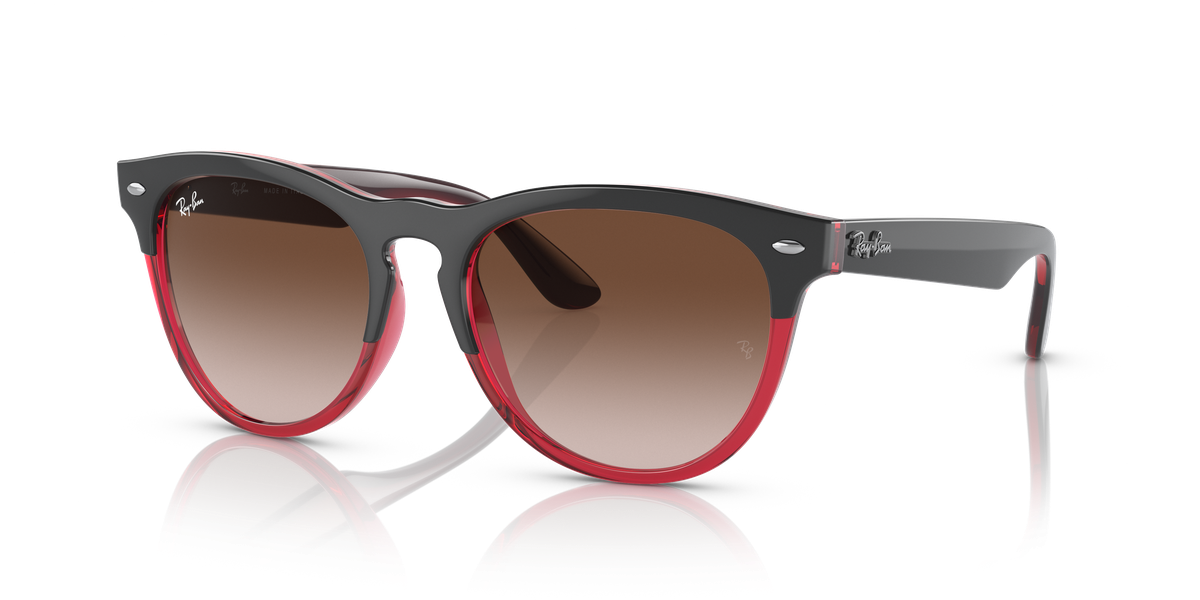 Ray-Ban IRIS