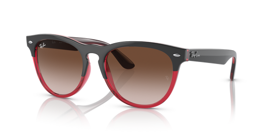 Ray-Ban IRIS - Grey On Transparent Red / Brown (663113)
