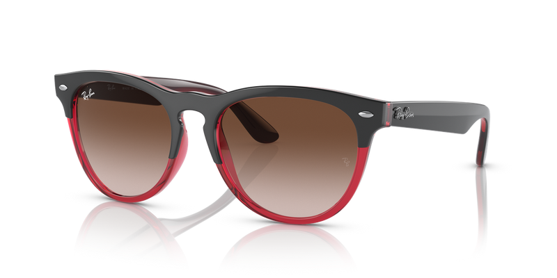 Ray-Ban IRIS in Grey On Transparent Red - Front View