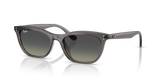 Transparent Dark Grey / Gradient Grey (667511)