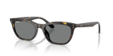 Havana / Dark Grey (710/87)