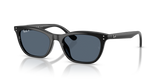 Black / Blue Polarized (901/2V)
