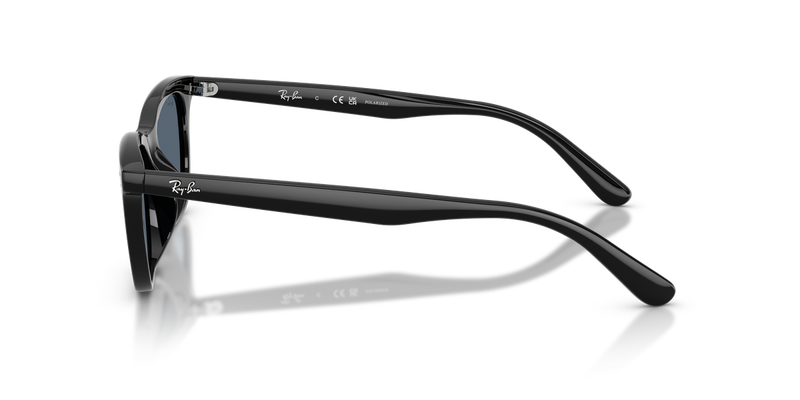 Ray-Ban RB4474D in Black - Alternate View