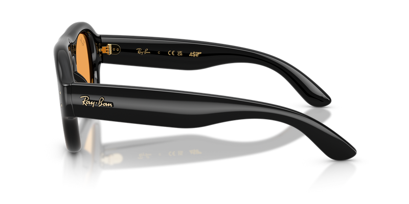Ray-Ban RB4925 in Black / Orange (601/7) - Back View