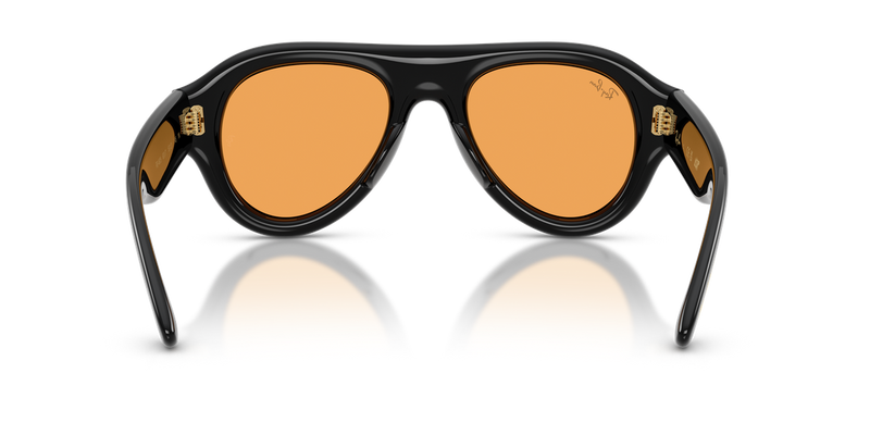 Ray-Ban RB4925 in Black / Orange (601/7) - Temple Detail