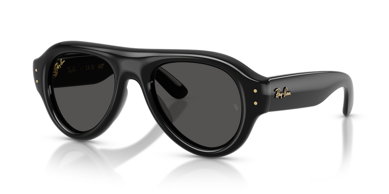 Ray-Ban RB4925 in Black / Ultra Black (601/87) - Alternate View