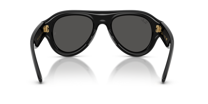 Ray-Ban RB4925 in Black / Ultra Black (601/87) - Alternate View