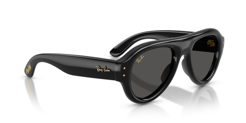 Ray-Ban RB4925 in Black / Ultra Black (601/87) - Alternate View