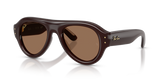 Transparent Dark Brown / Dark Brown (689673)