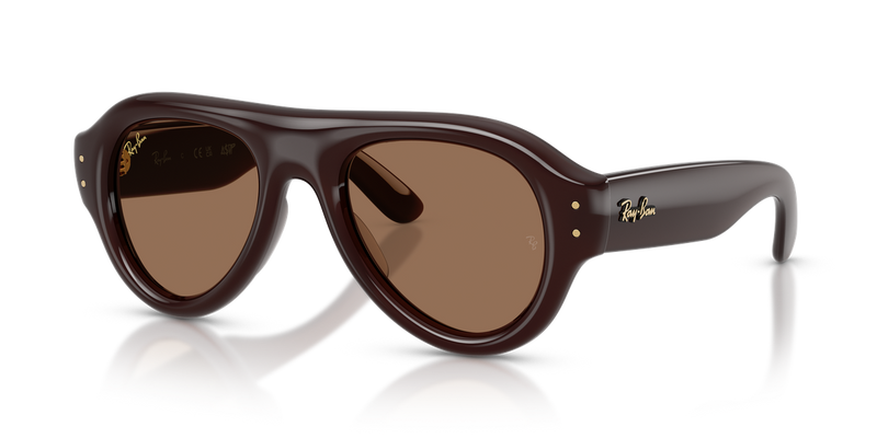 Ray-Ban RB4925 in Transparent Dark Brown / Dark Brown (689673) - Alternate View