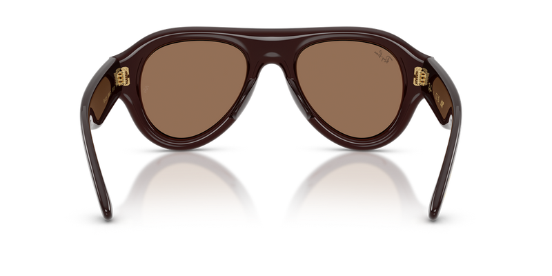 Ray-Ban RB4925 in Transparent Dark Brown / Dark Brown (689673) - Alternate View