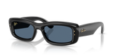 Black / Dark Blue (601/80)