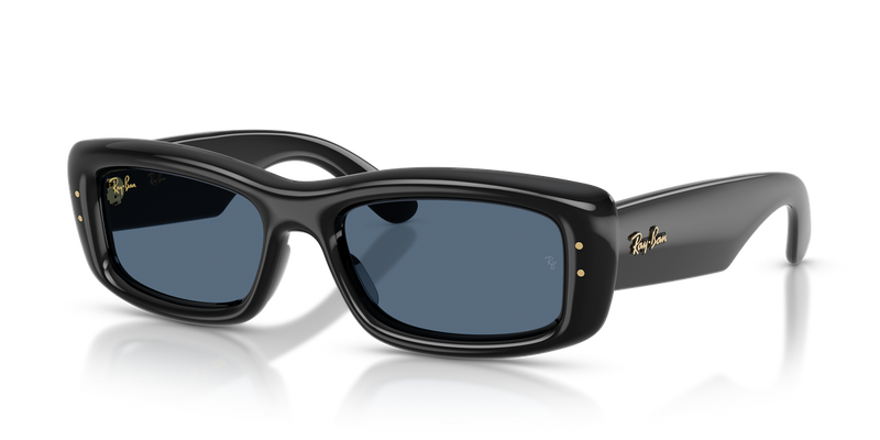 Ray-Ban RB4944 in Black / Dark Blue (601/80) - Alternate View