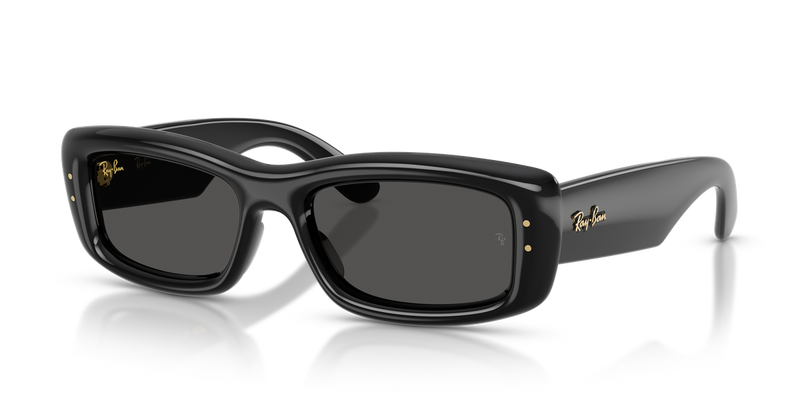 Ray-Ban RB4944 in Black / Ultra Black (601/87) - Front View
