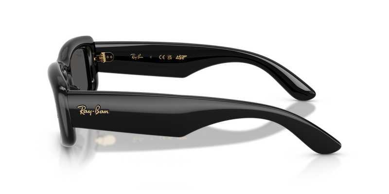 Ray-Ban RB4944 in Black / Ultra Black (601/87) - Back View