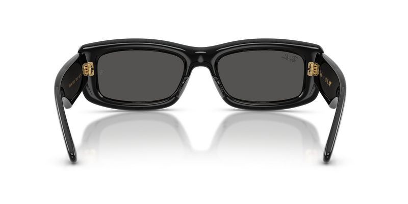 Ray-Ban RB4944 in Black / Ultra Black (601/87) - Temple Detail
