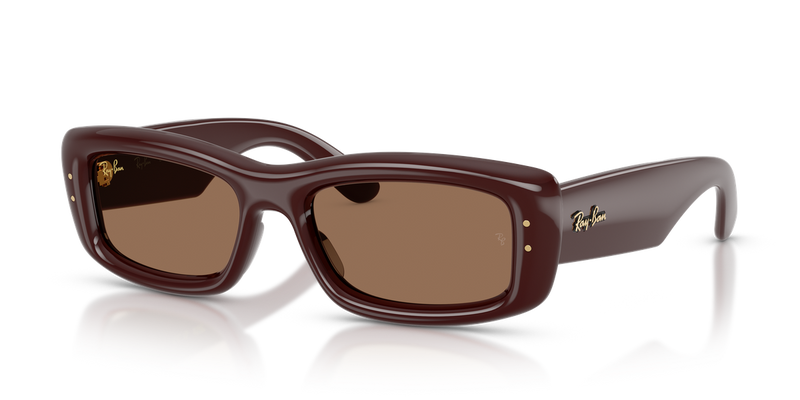 Ray-Ban RB4944 in Transparent Dark Brown / Dark Brown (687773) - Alternate View