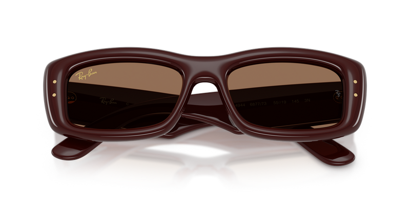 Ray-Ban RB4944 in Transparent Dark Brown / Dark Brown (687773) - Alternate View