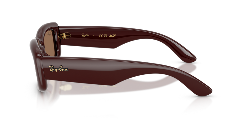 Ray-Ban RB4944 in Transparent Dark Brown / Dark Brown (687773) - Alternate View
