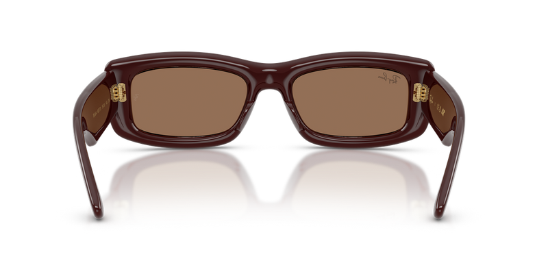 Ray-Ban RB4944 in Transparent Dark Brown / Dark Brown (687773) - Alternate View