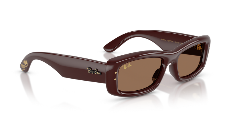 Ray-Ban RB4944 in Transparent Dark Brown / Dark Brown (687773) - Alternate View