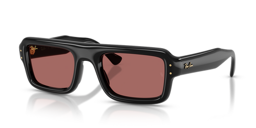 Black / Dark Violet (601/69)
