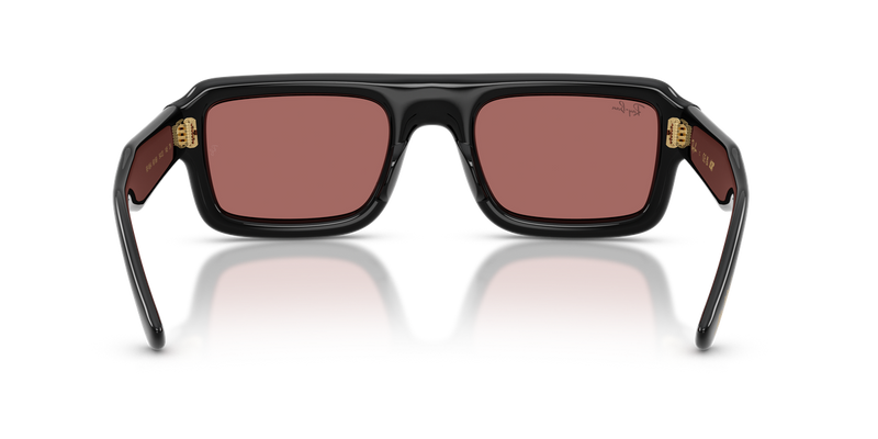 Ray-Ban RB4954 in Black / Dark Violet (601/69) - Temple Detail