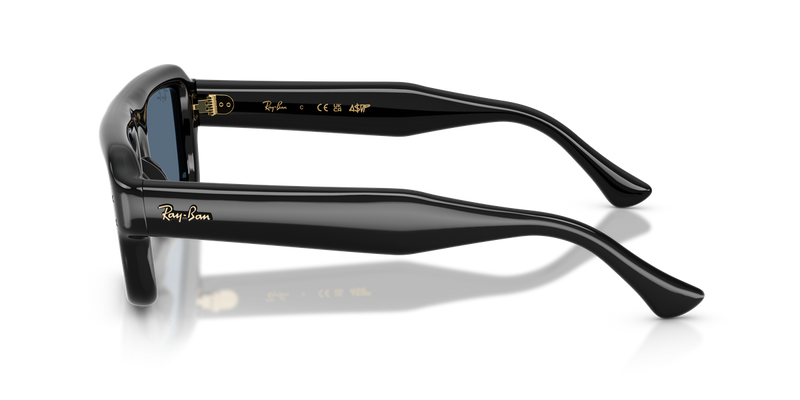 Ray-Ban RB4954 in Black / Dark Blue (601/80) - Alternate View