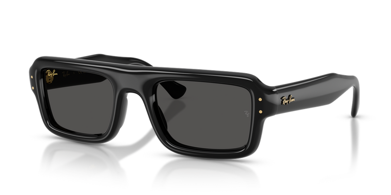 Ray-Ban RB4954 in Black / Ultra Black (601/87) - Alternate View