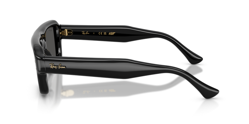 Ray-Ban RB4954 in Black / Ultra Black (601/87) - Alternate View