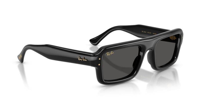 Ray-Ban RB4954 in Black / Ultra Black (601/87) - Alternate View