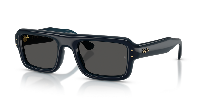 Ray-Ban RB4954 in Transparent Dark Blue / Ultra Black (689587) - Alternate View