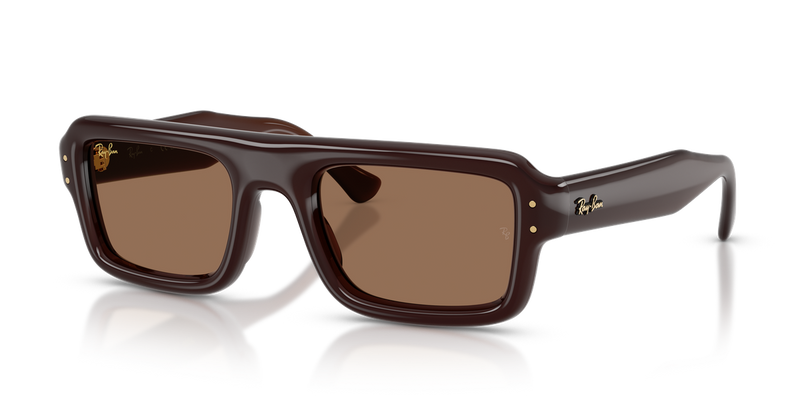 Ray-Ban RB4954 in Transparent Dark Brown / Dark Brown (689673) - Alternate View