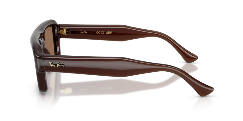 Ray-Ban RB4954 in Transparent Dark Brown / Dark Brown (689673) - Alternate View