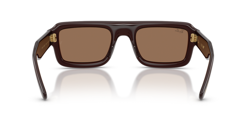 Ray-Ban RB4954 in Transparent Dark Brown / Dark Brown (689673) - Alternate View