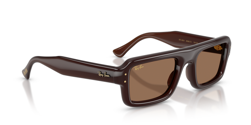 Ray-Ban RB4954 in Transparent Dark Brown / Dark Brown (689673) - Alternate View